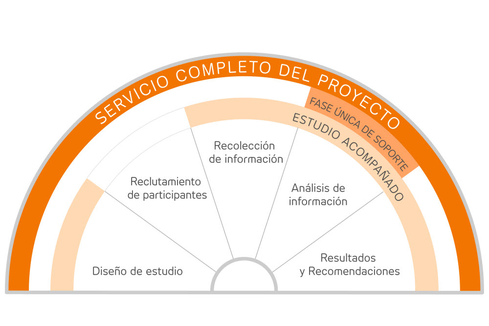 Insight Research Consultants illustration Spanish