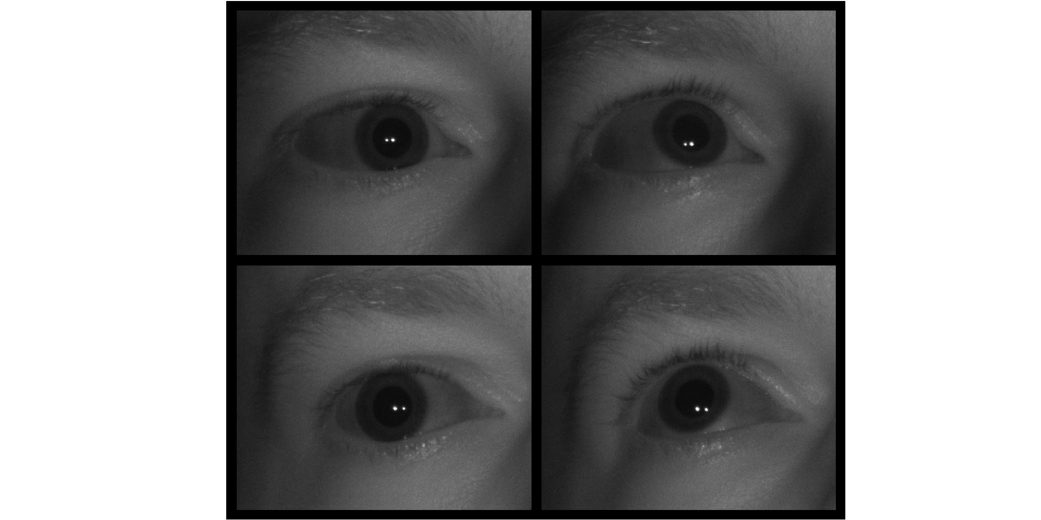 four eyes - closeup