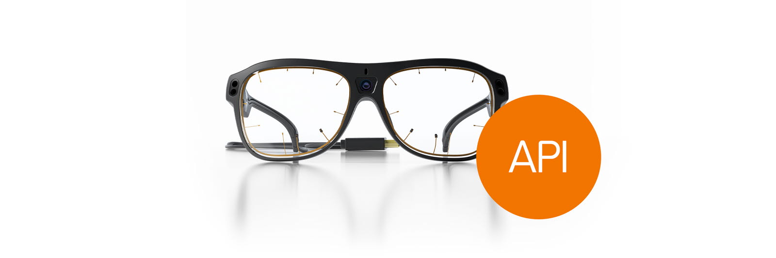 Tobii Pro Glasses 3 API software